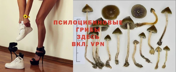стафф Пересвет