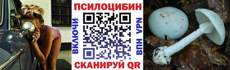 где продают наркотики Корсаков Галлюциногенные грибы MAGIC MUSHROOMS
