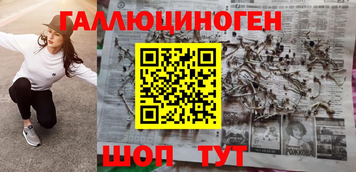 Псилоцибиновые грибы Psilocybine cubensis Корсаков