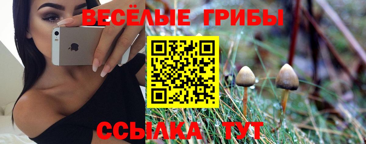 Псилоцибиновые грибы Cubensis  Вход с VPN  Галлюциногенные грибы Psilocybine cubensis  Корсаков 